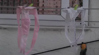 my neighbor's thong .... MTS