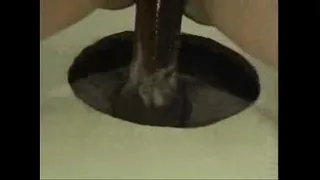 sex at swing house