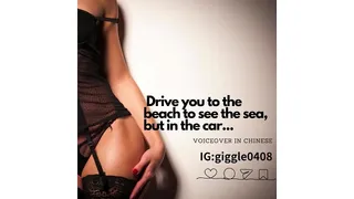 I drove you to the beach to see the sea, but in the car...