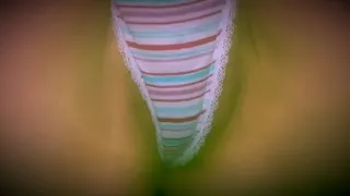 Thong a thon productions O.G. Panty haul