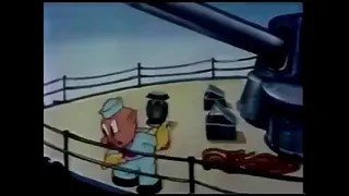 little bird on the ship