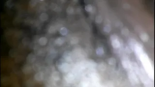 CAM00075