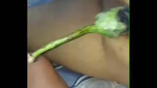 Vidi