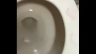 Desperate Trans Women masturbates with Toilet