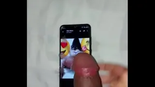 Tribute