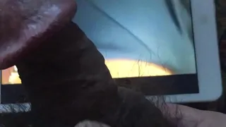 Tribute