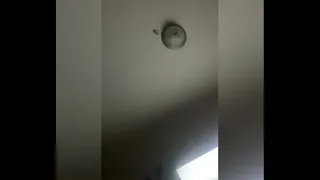 Black trade fucked by tranny