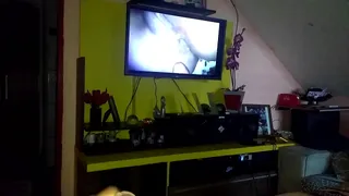Tribute