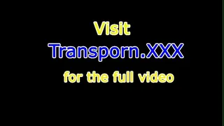 Stockinged trans with bigtits masturbating