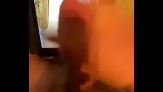 How trumpets