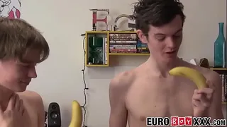 Skinny twinks have an anal fuck fest