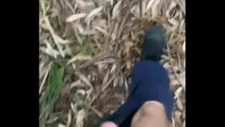 Slim twink bends over for doggy styling