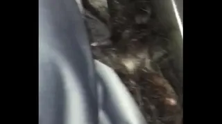 Fucking friend in car