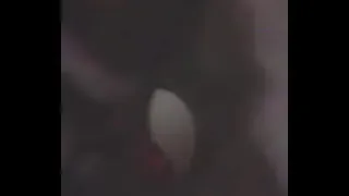 bitch siriricating to black log