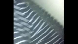 IMG 2707.MOV