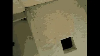 Fucking a bitch