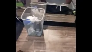 Verification video