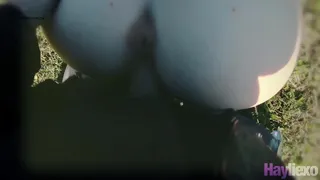 minet and vaginal gysyle on street