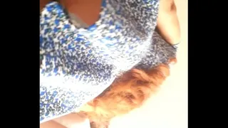 Upskirt vnzla 09