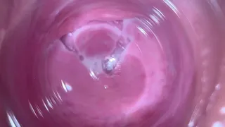 Inside the Pussy