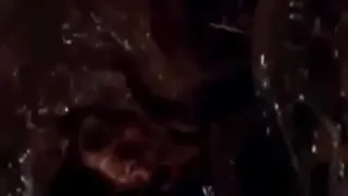 p.