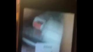 valerydasilva 03