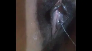 wet pussy