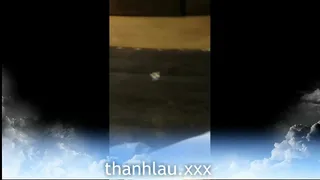 Without title