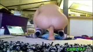 2697181