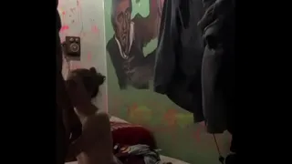 Getting my BBC Sucked and Fucked by White Girl