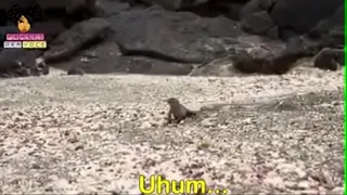 wild fucking young girl