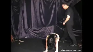 What eyes could never see