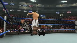 mixed wrestling