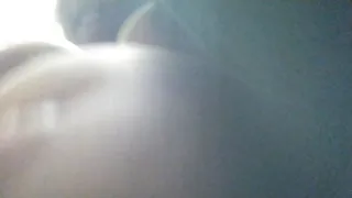 fox sent