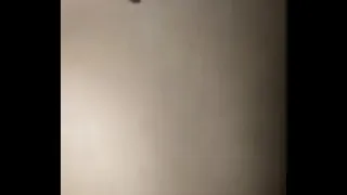 in 4 bitch loves the bug