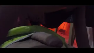 SITTING (HOMEMADE) fell on the NET !!!