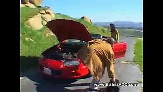 Extreme pleasure for a single cock