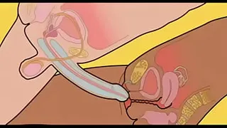 Making love to a woman
