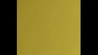 VIDEO0010 01