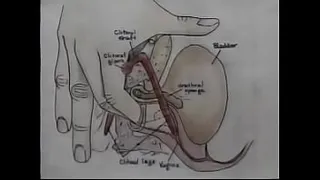 Sex Education Orgasm Training Video