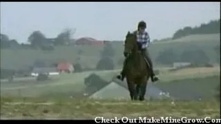 Two blonde beauties anal fucked in the stables
