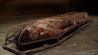 Ebony slut in small cage gets vibrated