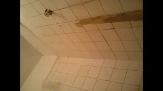 the barth shower