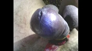 my tail