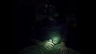 Eat My Whole Tasty Spicy Fresh Dirty Wild Hot Beaver !!!.MP4