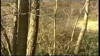 German amateurs go to the woods to fuck