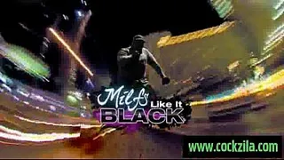I Can't Believe You Sucked a Negro