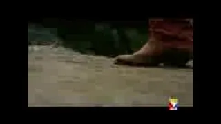 Farzad Indian Song