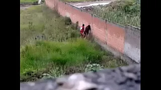 Busty Girl Outdoor Doggy Banged