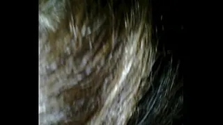 sucking by weird milf